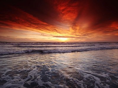 Things To Do https://annamariaisland.icnd-cdn.com/images/thingstodo/Anna Maria Island Free.jpg